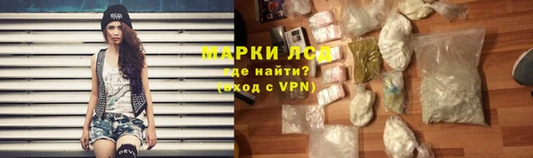 прущие грибы Алексин