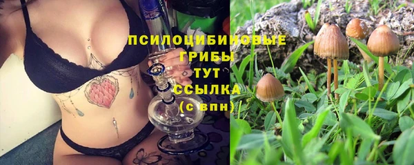 прущие грибы Алексин