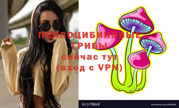 прущие грибы Алексин