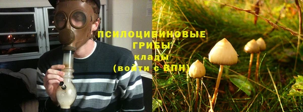 прущие грибы Алексин