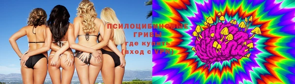 молекула духа Алзамай