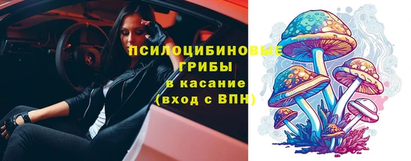 прущие грибы Алексин