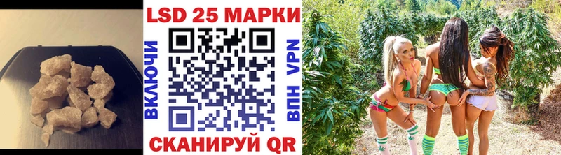 LSD-25 экстази кислота  omg как войти  Железногорск 